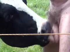 Zoo Sex Run