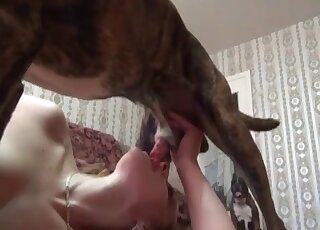 เซสชั่นรักสุนัขที่จะทำให้คุณถึงจุดสุดยอดแน่นอน