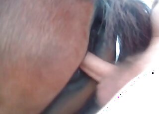 Pretty-looking animal is big into butt fucking
