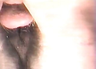 Close-up porno movie with a well-endowed beast