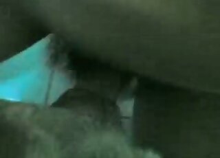 That dog sucks on a cock like a fucking champ