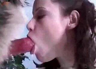 Dog wiener is being serviced orally