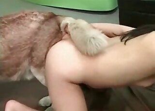 Human pussy is really juicy