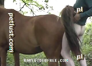 สาวฮอตสุดฮอตหลงใหลเซ็กส์ม้าสุดร้อนแรง