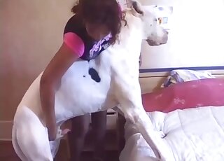 Passionate hound screwed flapper's tight cooter on cam