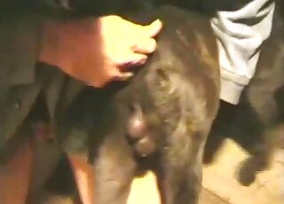 Watch how he is penetrating his stunning dog