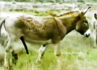 Sexy beasts get all natural while in the nature