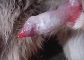 Horned-up dude enjoying hot sex in HD here