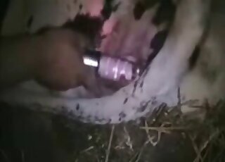 Impressive zoophilic sex with a twisted creature