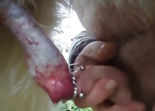 Zoophilic loving featured in a hot XXX movie