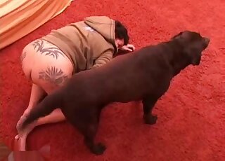 สัตว์ประหลาดไก่แดงเย็ดสาวอ้วนอ้วน