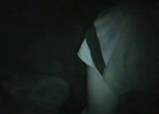 Warped zoophile enjoying hot sex late at night