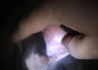 POV porno scene with an adorable farm fucking