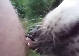 Nip licking animal is all about that kinky sex