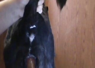 Her cavernous pussy is going to get fucked HARD