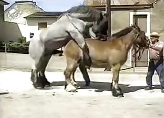 Sexy creature flaunts its sexy body for the cam