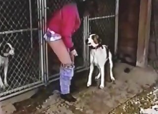 Stunning beast and a hot lady are enjoying hardcore sex