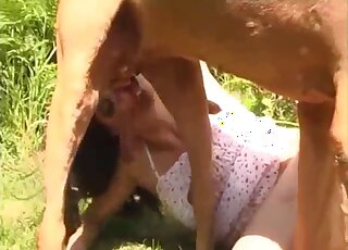 Sexy doggy and a hot girl enjoy nasty beast fuck