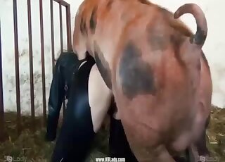 Sweet pig is getting fucked in the doggy style