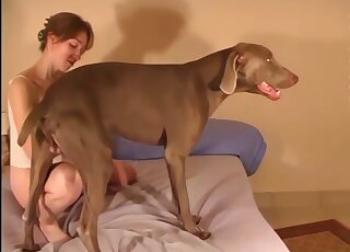 Brown dog dominating that tight pussy