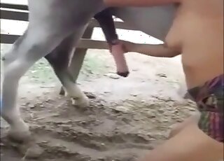 Babe stroking that beautiful horse penis