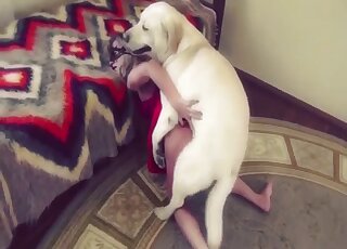 White dog gets to screw a hot beauty from behind