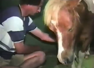 Dude with a nice ass fucks a big dick horse