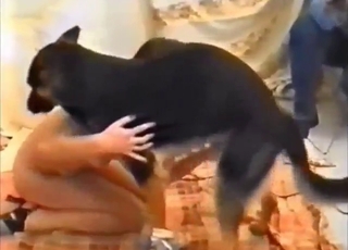 Confident mommy wants to fuck a sexy dog