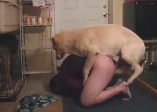 Doggystyle bang with a dog, thick-ass zoophile