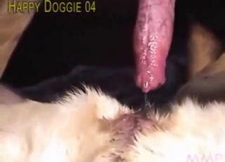 Zoo sex with a guy who slams into that vag