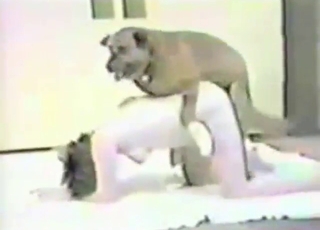 Zoophile lady goes on a dog fucking streak