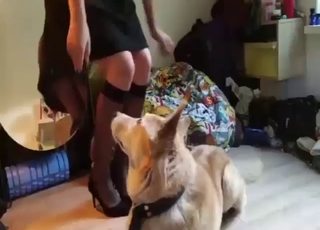 Wet hole of a horny blonde gets stretched out