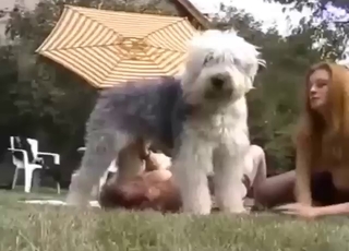 Lady looks super happy to suck off a hot animal