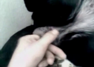 Bestiality sex with finger-popping for a dog