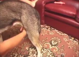 Bestiality sex scene with a good-looking dog slut