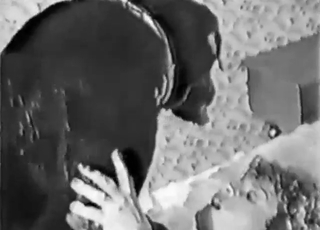 หนังโป๊สวนสัตว์ที่มีฉากรักสัตว์แบบวินเทจ