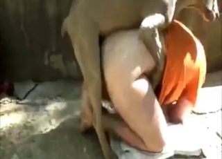 Bestiality porn showcase with outdoor gaping