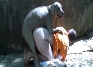 Bestiality porn showcase with outdoor gaping