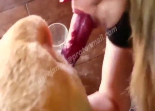 สัตว์ร้ายสีน้ำตาลกำลังเลียจิ๋มสดๆ ของเธออย่างหนัก