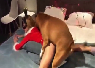 Beautiful fuck scene with a Christmas zoophile