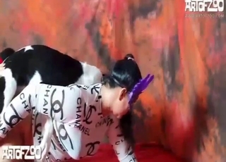 Hot lady, incredibly sucking, gets dog-fucked