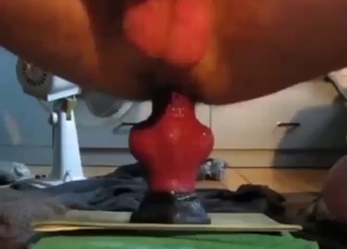 Zoo porn with a gay dude and his dog cock dildo