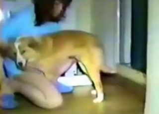 She gets her vag licked by those tiny cute pups