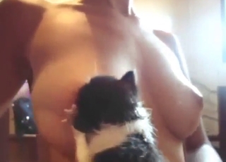Zoo XXX with a tiny kitty licking her tits hard