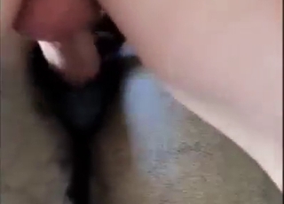 Gapist with a hard dick fucking that sexy mare