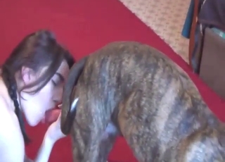 Zoo porn with a dog-sucking slut who gets off
