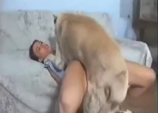White dog with a nice dick fucks her real hard