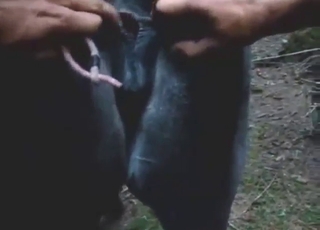 Black mare is about to get fisted by a guy