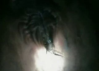 เจาะช่องวัวด้วยอวัยวะเพศที่แข็งเป็นพิเศษ