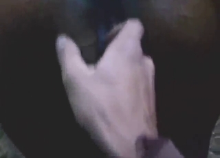 Mare with a moist hole gets fucked, fisted